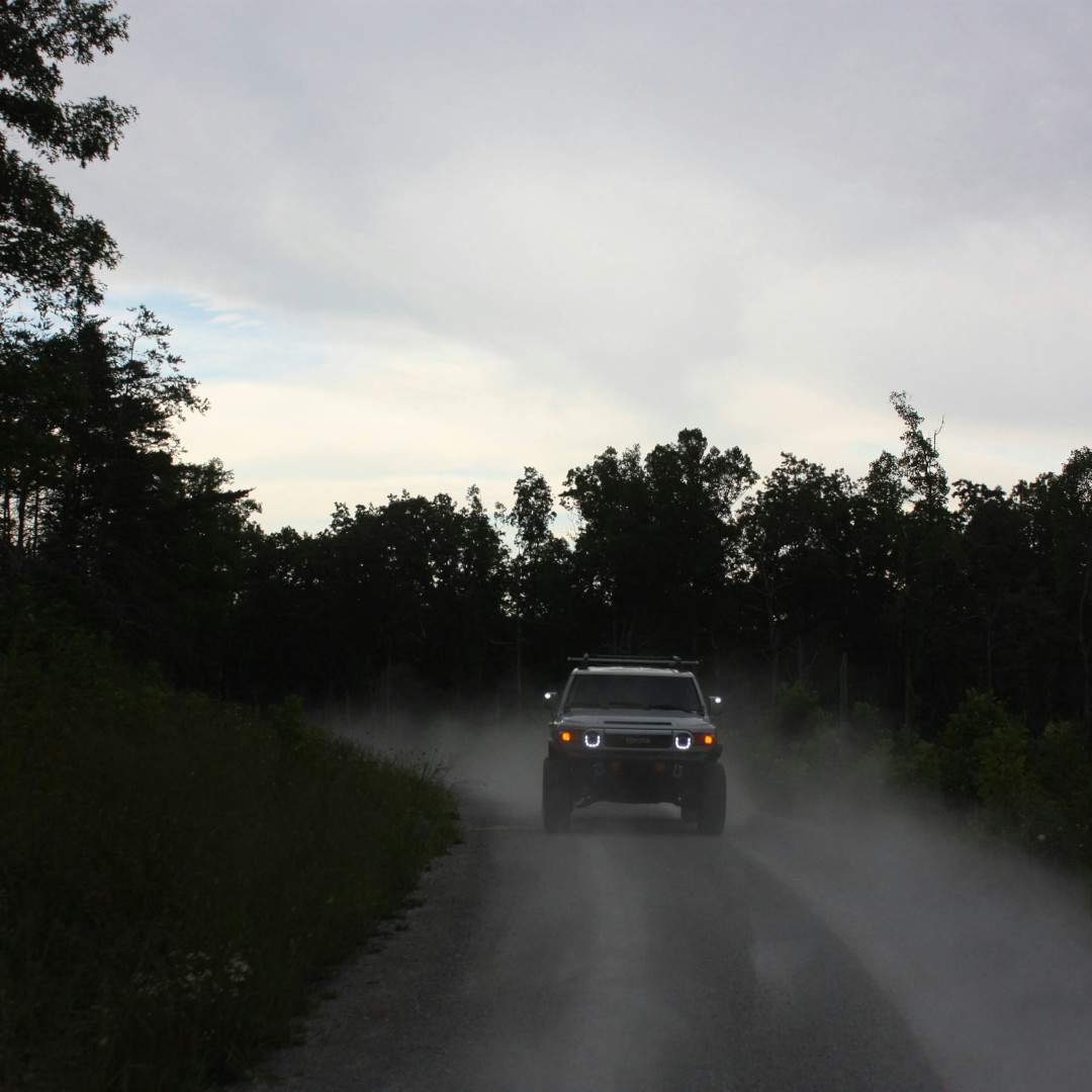 Why is car insurance so expensive in Tennessee?